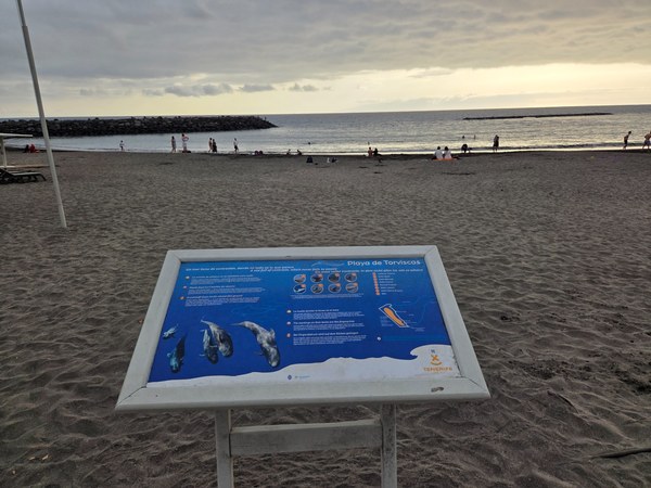 Plage de Torviscas à Tenerife avec parasols en paille, chaises longues, sable sombre et mer protégée par des digues.