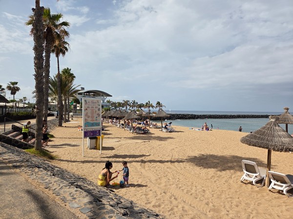 Playa El Camisón à Tenerife, avec sable clair, palmiers, transats et mer calme dans une zone touristique.