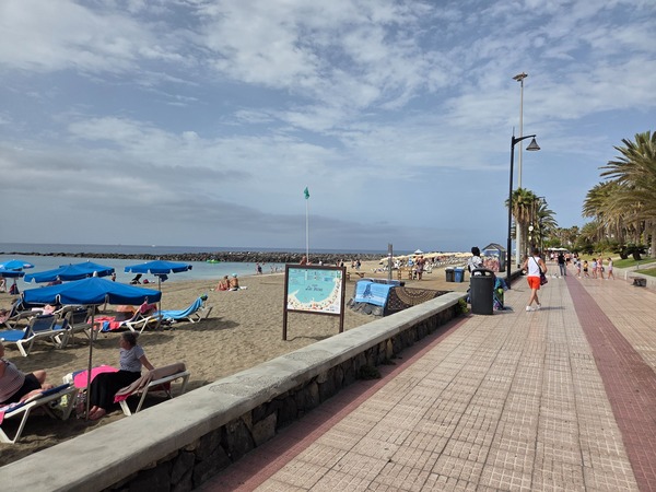 Promenade de Playa de Las Vistas avec palmiers, transats bleus et petite plage protégée par une digue.