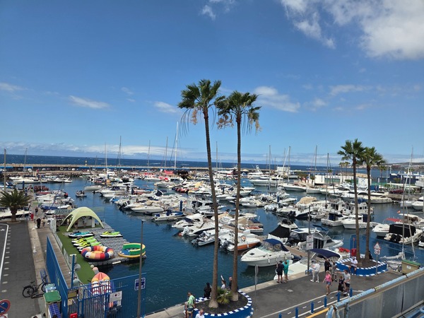 Puerto Colón Port de plaisance de Puerto Colón avec bateaux, palmiers et activités nautiques sous un ciel bleu.