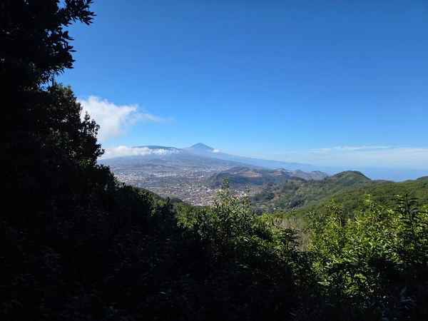 Vue sur le Teide Vue panoramique sur le Teide et la vallée en contrebas, encadrée par une végétation dense à Tenerife.