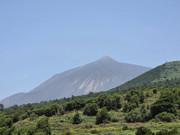 Sommet du Teide Sommet du Teide vu de près, avec pentes volcaniques, végétation verte et léger voile dans le ciel.