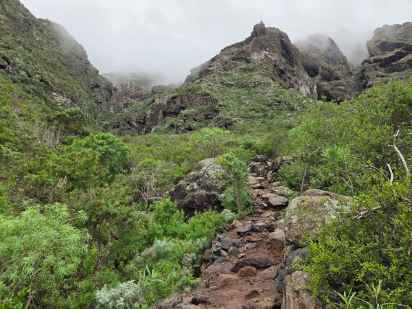 Chemin pierreux au cœur des montagnes verdoyantes du massif de Teno Alto, avec nuages bas et relief escarpé.